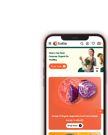 Ecolite – Thème WooCommerce pour épicerie polyvalente, supermarché et boutique d’aliments biologiques